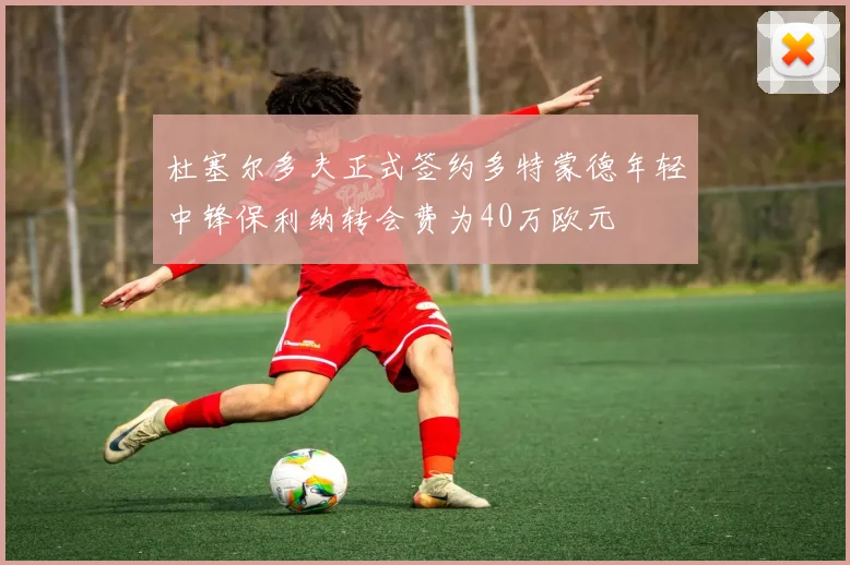 杜塞尔多夫正式签约多特蒙德年轻中锋保利纳转会费为40万欧元