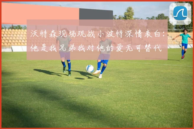 沃特森现场观战小波特深情表白：他是我兄弟我对他的爱无可替代