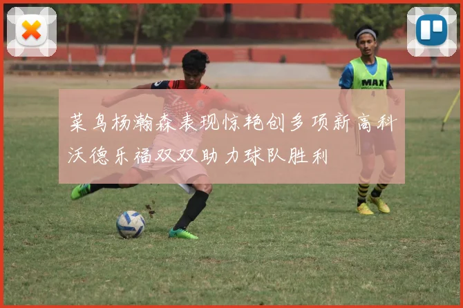 菜鸟杨瀚森表现惊艳创多项新高科沃德乐福双双助力球队胜利