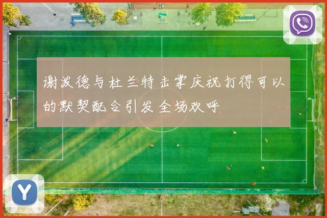 谢泼德与杜兰特击掌庆祝打得可以的默契配合引发全场欢呼