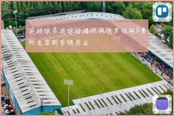 英超球员进球榜揭晓佩德罗领跑B费约克雷斯紧随其后